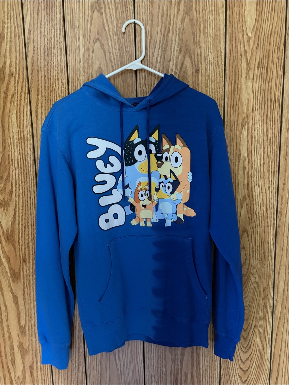 Bluey Family Graphic Hoodie